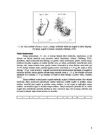 Referāts 'Stiebrzāļu sugu sakņu sistēmas veidošanās un nozīme produktīvu zelmeņu veidošanā', 8.