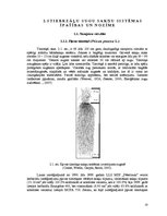 Referāts 'Stiebrzāļu sugu sakņu sistēmas veidošanās un nozīme produktīvu zelmeņu veidošanā', 10.