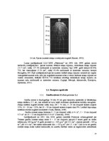 Referāts 'Stiebrzāļu sugu sakņu sistēmas veidošanās un nozīme produktīvu zelmeņu veidošanā', 14.