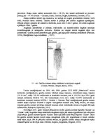 Referāts 'Stiebrzāļu sugu sakņu sistēmas veidošanās un nozīme produktīvu zelmeņu veidošanā', 15.