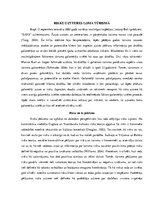 Referāts 'Literatūras apskats', 1.