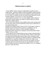 Referāts 'Multikulturālisms mūsdienu sabiedrībā', 6.