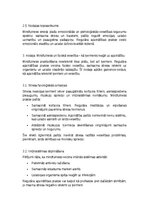 Referāts 'Mindfulness un apzinātība ikdienā', 5.