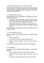 Referāts 'Mindfulness un apzinātība ikdienā', 7.