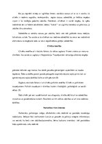 Referāts 'Zagšana un ētika', 7.