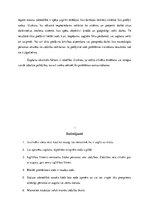 Referāts 'Zagšana un ētika', 12.