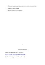 Referāts 'Zagšana un ētika', 13.