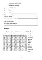 Referāts 'Latviešu valoda. Lasāmie teksti par ziemu', 20.