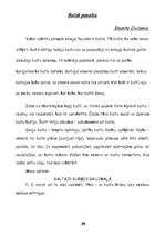 Referāts 'Latviešu valoda. Lasāmie teksti par ziemu', 25.