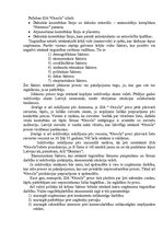 Biznesa plāns 'Mārketinga plāns kosmētikas firmai "Oceola"', 3.