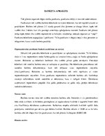 Referāts 'Saderināšanas banketa apraksts', 1.