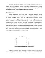 Referāts 'Saderināšanas banketa apraksts', 2.