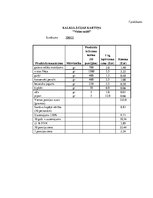 Referāts 'Saderināšanas banketa apraksts', 11.