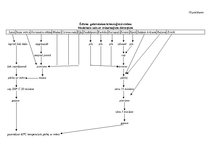 Referāts 'Saderināšanas banketa apraksts', 14.