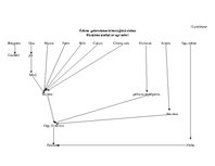 Referāts 'Saderināšanas banketa apraksts', 16.