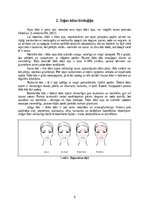 Referāts 'Sejas ādas bioloģija un ārstnieciskā kosmētika pusaudžu pūtīšu ārstēšanai', 5.