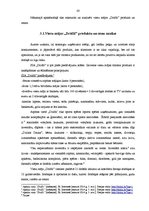 Referāts 'Mārketinga kompleksa analīze atpūtas bāzē "Dridži"', 42.