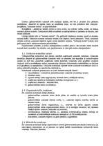 Referāts 'Grāmatvedības uzskaite, tās loma un uzdevumi', 17.