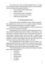 Referāts 'SIA "Rimi Latvia" mārketinga vides analīze', 9.