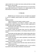 Referāts 'SIA "Rimi Latvia" mārketinga vides analīze', 11.