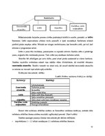 Diplomdarbs 'Jaunākā skolas vecuma skolēnu radošuma attīstības veicināšana mūzikas nodarbībā', 41.