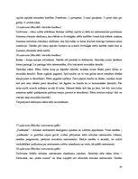 Diplomdarbs 'Jaunākā skolas vecuma skolēnu radošuma attīstības veicināšana mūzikas nodarbībā', 63.