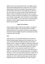 Konspekts 'Japāna', 7.