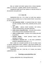 Referāts 'Latvijas Republikas valdības politika, tās ietekme uz uzņēmējdarbības vidi', 6.