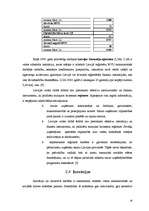 Referāts 'Latvijas Republikas valdības politika, tās ietekme uz uzņēmējdarbības vidi', 18.