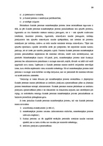 Referāts 'Maksātnespējas procesa iespējamie risinājumi', 19.