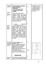 Diplomdarbs 'Basketbola tehnisko paņēmienu pilnveidošanas metodika skolā', 47.