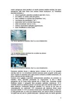 Referāts 'Monokulārā dubultošanās', 6.