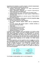 Referāts 'Monokulārā dubultošanās', 10.