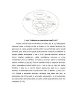 Referāts 'Projekta iekšējās vides analīze', 6.