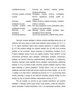 Referāts 'Projekta iekšējās vides analīze', 8.