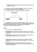 Prakses atskaite 'Prakses atskaite', 13.