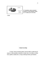 Referāts 'Zīmols "Live Rīga", tā izpēte un priekšlikumu izstrādāšana', 29.