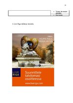 Referāts 'Zīmols "Live Rīga", tā izpēte un priekšlikumu izstrādāšana', 41.