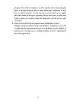 Prakses atskaite 'Aktīvā mācību un audzināšanas prakse sākumskolā', 11.