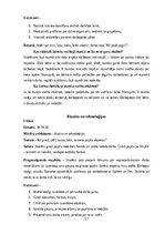 Prakses atskaite 'Aktīvā mācību un audzināšanas prakse sākumskolā', 17.