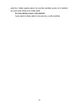 Prakses atskaite 'Aktīvā mācību un audzināšanas prakse sākumskolā', 19.