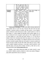 Prakses atskaite 'Aktīvā mācību un audzināšanas prakse sākumskolā', 26.