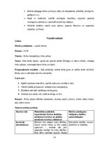 Prakses atskaite 'Aktīvā mācību un audzināšanas prakse sākumskolā', 29.