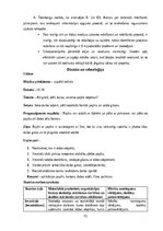 Prakses atskaite 'Aktīvā mācību un audzināšanas prakse sākumskolā', 31.