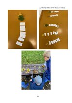 Prakses atskaite 'Aktīvā mācību un audzināšanas prakse sākumskolā', 35.