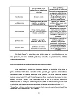 Prakses atskaite 'Prakses pārskats SIA "Radio Skonto"', 34.