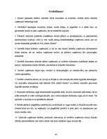 Prakses atskaite 'Prakses pārskats SIA "Radio Skonto"', 44.