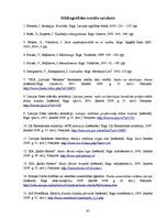 Prakses atskaite 'Prakses pārskats SIA "Radio Skonto"', 45.