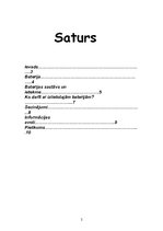 Referāts 'Bateriju ietekme uz vidi', 2.