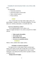 Referāts 'Bateriju ietekme uz vidi', 6.